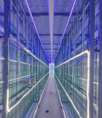 Niewymagająca konserwacji kontenerowa farma grzybów ze zdalnym monitoringiem i standardowym kontenerem 20ft lub 40ft